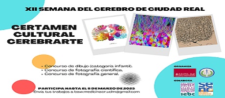 Certamen Cultural CerebrARTE 2023 XII Semana Del Cerebro De Ciudad